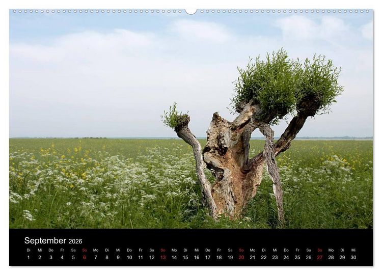 Produktbild: Traumhafte Ostseek&uuml;ste (Wandkalender 2026 DIN A2 quer), CALVENDO Monatskalender