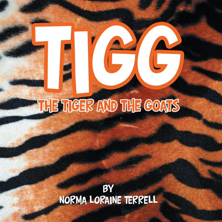 Produktbild: Tigg