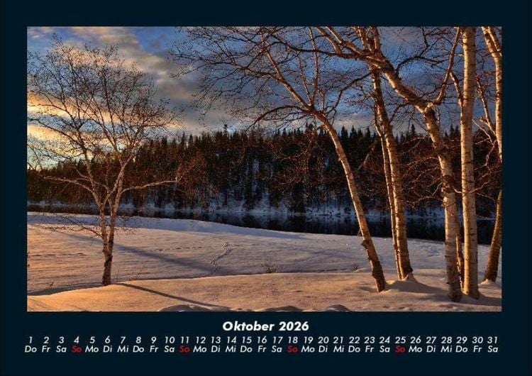 Produktbild: B&auml;ume 2026 Fotokalender DIN A4
