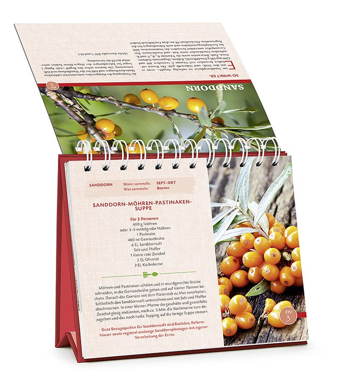 Produktbild: Die Wildpflanzen-Apotheke - Kalender