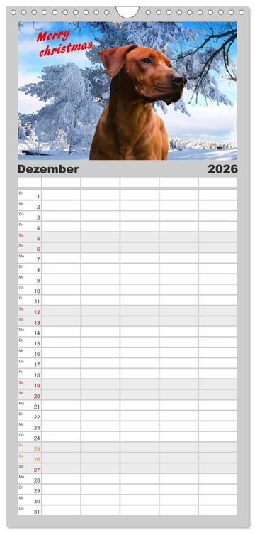 Produktbild: Familienplaner 2026 - Rhodesian Ridgeback - Moments mit 5 Spalten (Wandkalender, 21 x 45 cm) CALVENDO