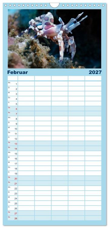 Produktbild: Familienplaner 2027 - Faszination blaue Unterwasserwelt mit 5 Spalten (Wandkalender, 21 x 45 cm) CALVENDO