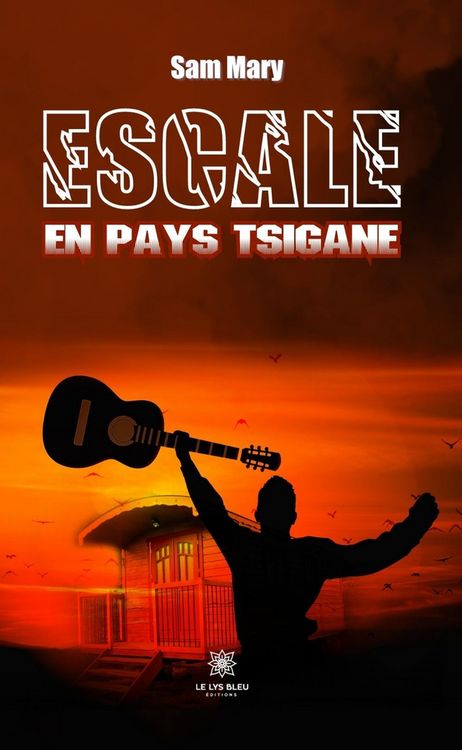 Produktbild: Escale en pays tsigane