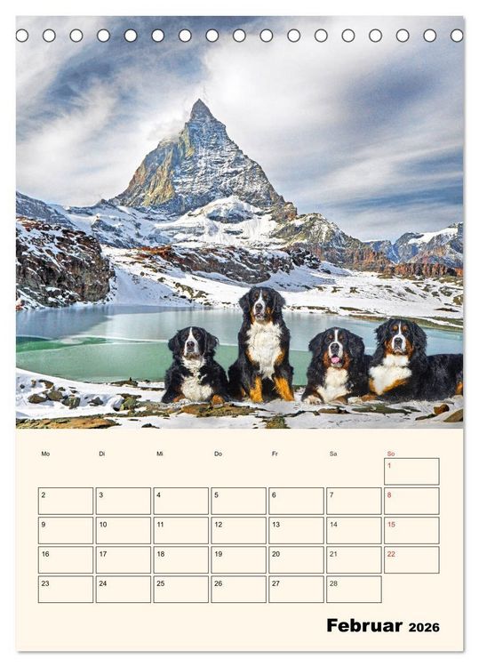 Produktbild: Traumhaft sch&ouml;n - Der Berner Sennenhund (Tischkalender 2026 DIN A5 hoch), CALVENDO Monatskalender