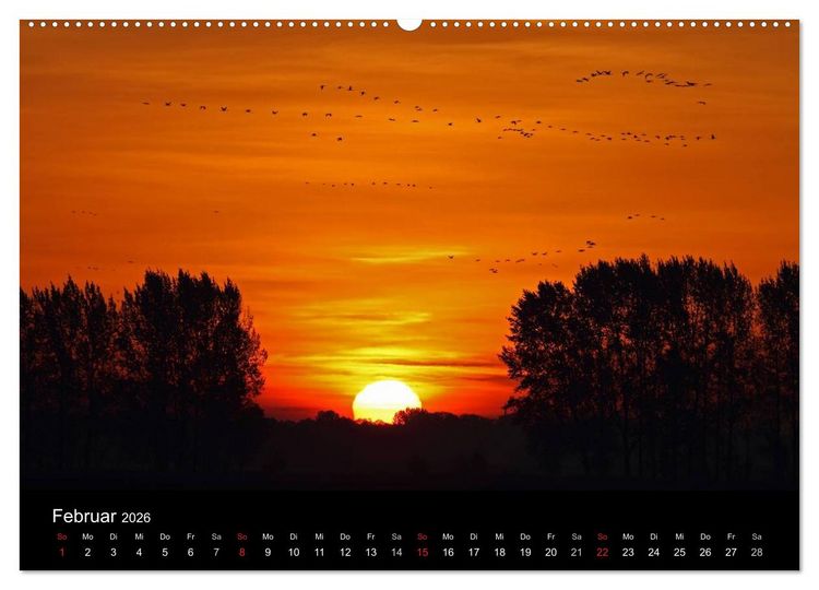 Produktbild: Kranich-Land Brandenburg (Wandkalender 2026 DIN A2 quer), CALVENDO Monatskalender