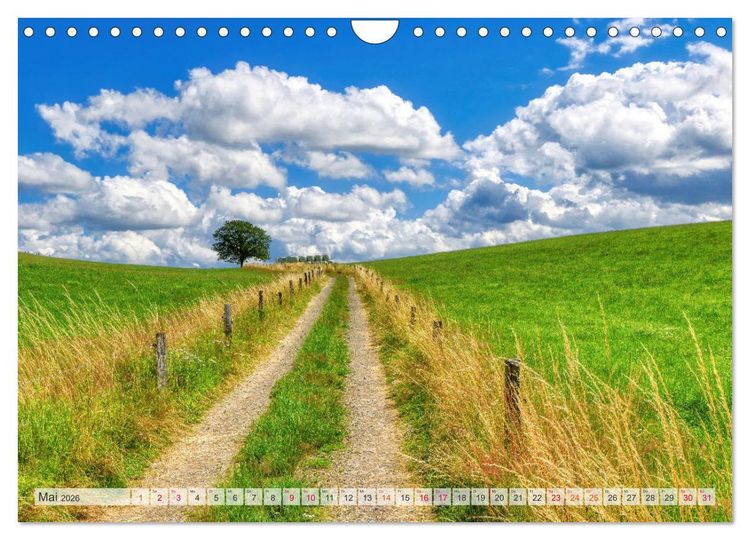 Produktbild: Idyllische Wanderwege im Bergischen Land (Wandkalender 2026 DIN A4 quer), CALVENDO Monatskalender