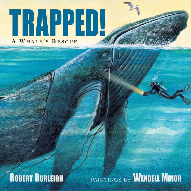 Produktbild: Trapped! A Whale's Rescue
