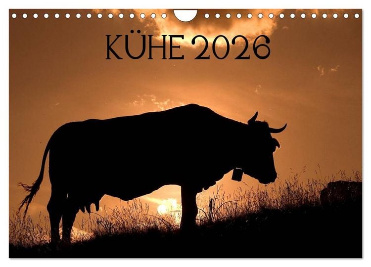 Produktbild: K&uuml;he 2026 (Wandkalender 2026 DIN A4 quer), CALVENDO Monatskalender