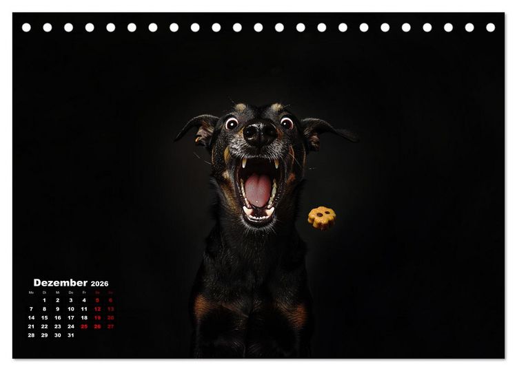 Produktbild: Leckerchen! (Tischkalender 2026 DIN A5 quer), CALVENDO Monatskalender