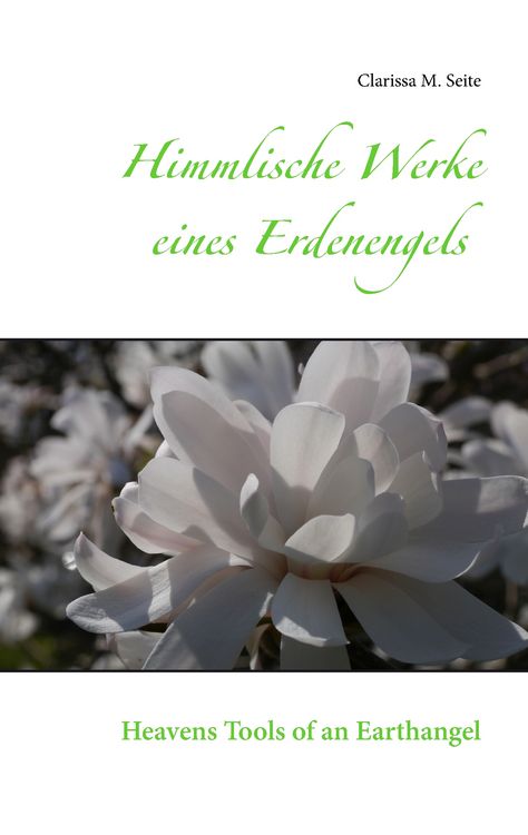 Produktbild: Himmlische Werke eines Erdenengels