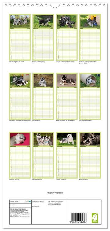 Produktbild: Familienplaner 2026 - Husky Welpen mit 5 Spalten (Wandkalender, 21 x 45 cm) CALVENDO