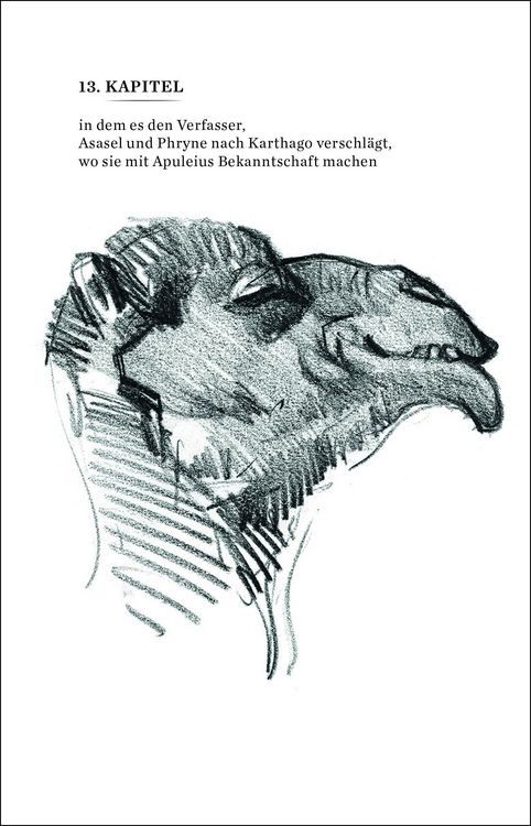 Produktbild: Krokodilopolis