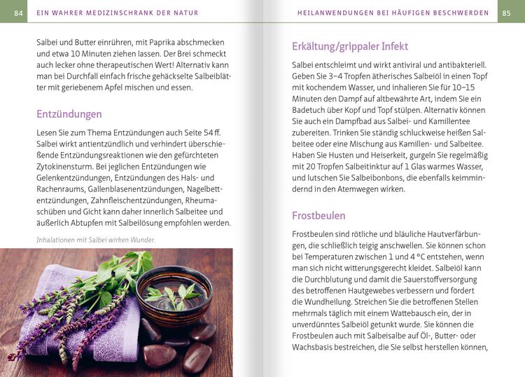 Produktbild: Salbei - Mutter aller Heilpflanzen. Kompakt-Ratgeber