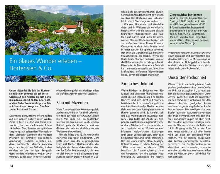 Produktbild: DuMont Reise-Taschenbuch Reisef&uuml;hrer Azoren