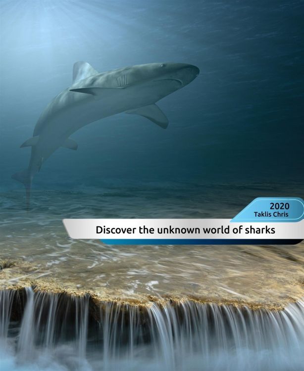Produktbild: Discover the unknown world of sharks!