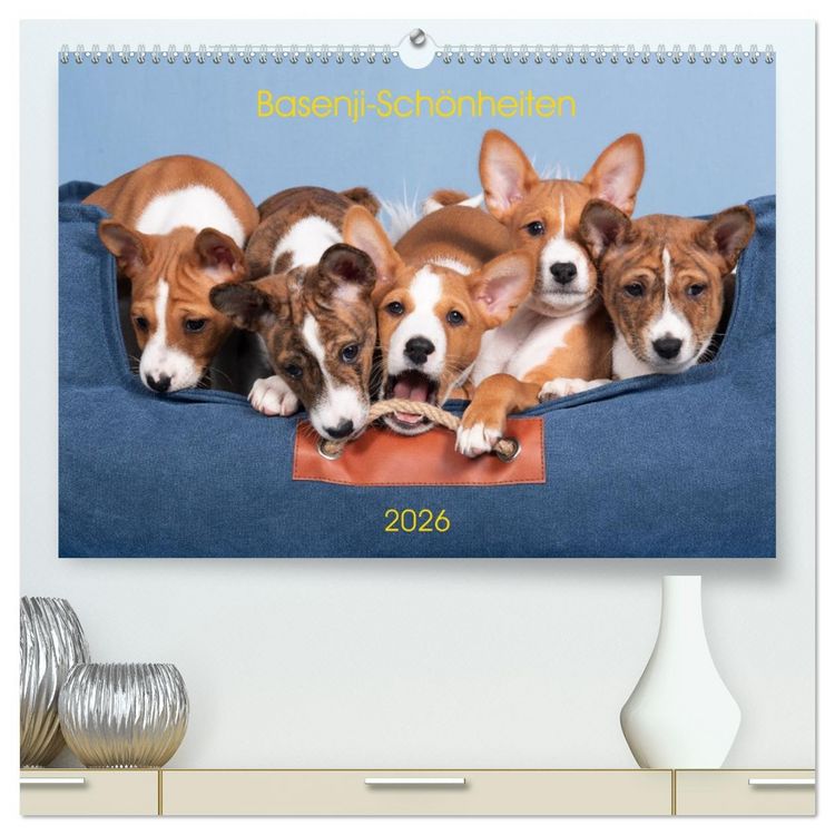 Produktbild: Basenji-Sch&ouml;nheiten (hochwertiger Premium Wandkalender 2026 DIN A2 quer), Kunstdruck in Hochglanz