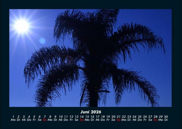 Produktbild: Palmentraum 2026 Fotokalender DIN A4