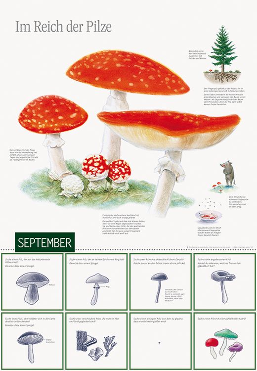 Produktbild: Natur erleben durch das Jahr - 1