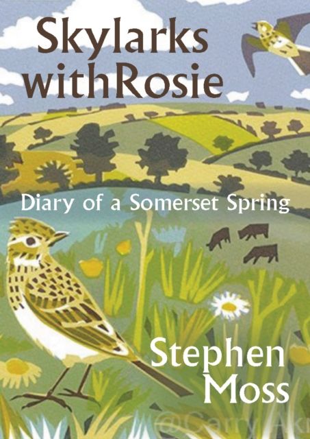 Produktbild: Skylarks with Rosie