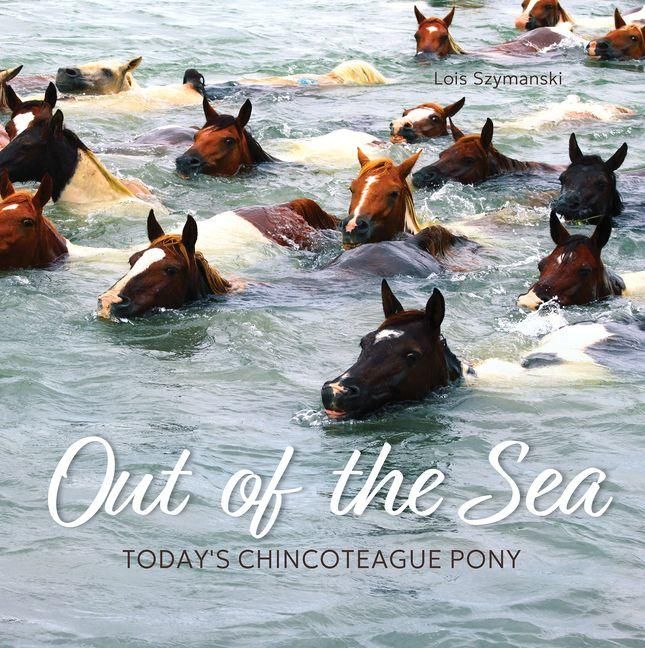 Produktbild: Out of the Sea