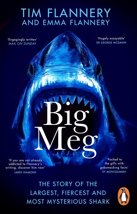 Produktbild: Big Meg