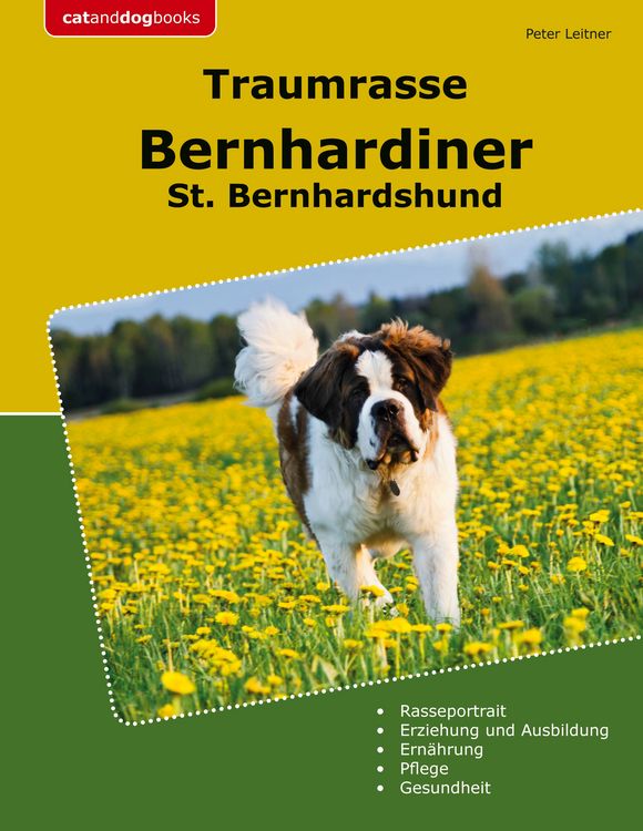 Produktbild: Traumrasse Bernhardiner