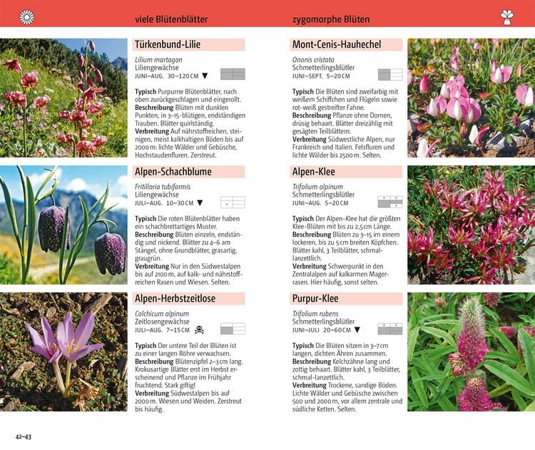 Produktbild: Blumen der Alpen