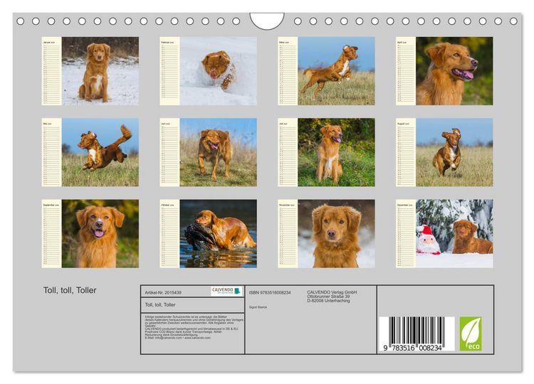 Produktbild: Toll, toll, Toller (Wandkalender 2026 DIN A4 quer), CALVENDO Monatskalender