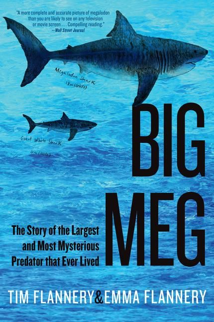 Produktbild: Big Meg