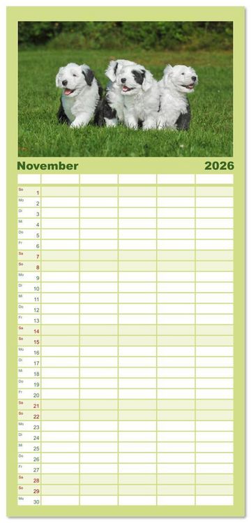 Produktbild: Familienplaner 2026 - In der Kinderstube bei Familie Bobtail mit 5 Spalten (Wandkalender, 21 x 45 cm) CALVENDO