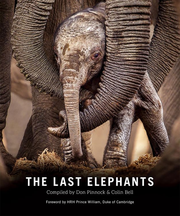 Produktbild: The Last Elephants