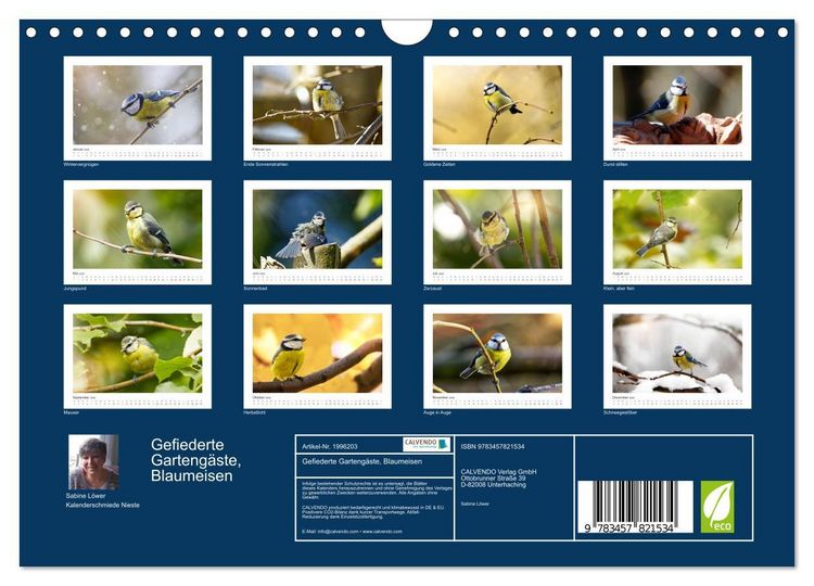 Produktbild: Gefiederte Garteng&auml;ste, Blaumeisen (Wandkalender 2026 DIN A4 quer), CALVENDO Monatskalender