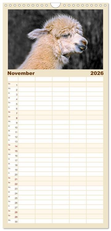 Produktbild: Familienplaner 2026 - Alpaka Gesichter mit 5 Spalten (Wandkalender, 21 x 45 cm) CALVENDO
