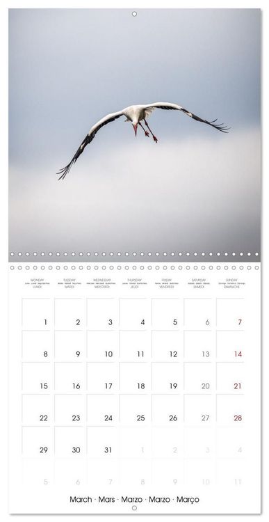 Produktbild: Whispers of Wings (Wall Calendar 2027 12 &times; 12 Inch) CALVENDO 12 Month Wall Calendar