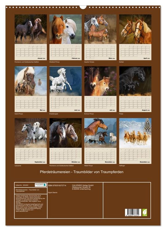 Produktbild: Pferdetr&auml;umereien - Traumbilder von Traumpferden (Wandkalender 2026 DIN A2 hoch), CALVENDO Monatskalender