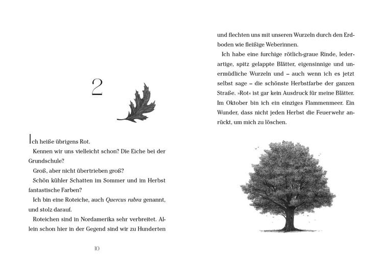 Produktbild: Baum der W&uuml;nsche
