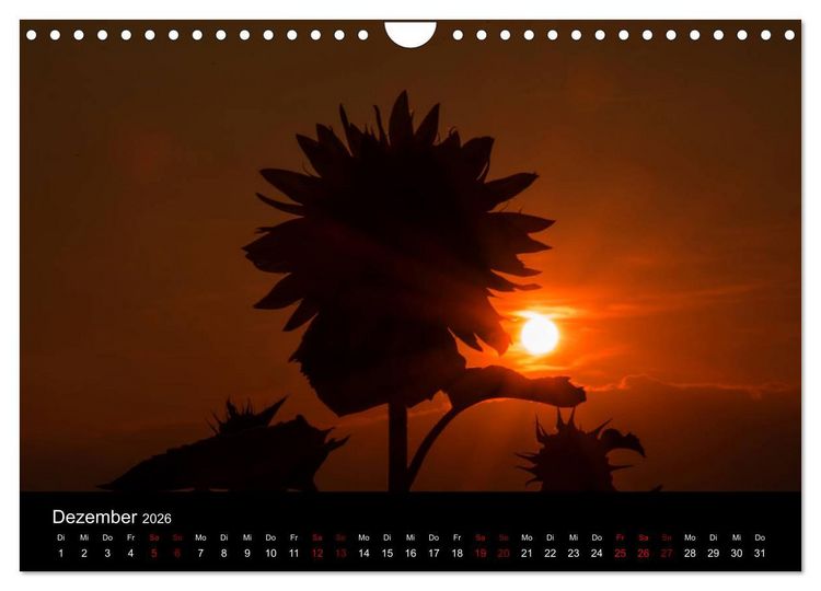 Produktbild: Blumen der Sonne (Wandkalender 2026 DIN A4 quer), CALVENDO Monatskalender