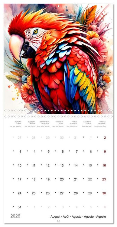 Produktbild: Des perroquets color&eacute;s (Calendrier mural carr&eacute; 2026 30x30 cm) Calendrier double avec une page pour vos prises de notes