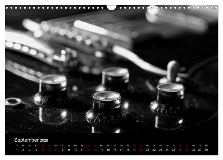 Produktbild: Regelwerke - Details alter E-Gitarren (Wandkalender 2026 DIN A3 quer), CALVENDO Monatskalender