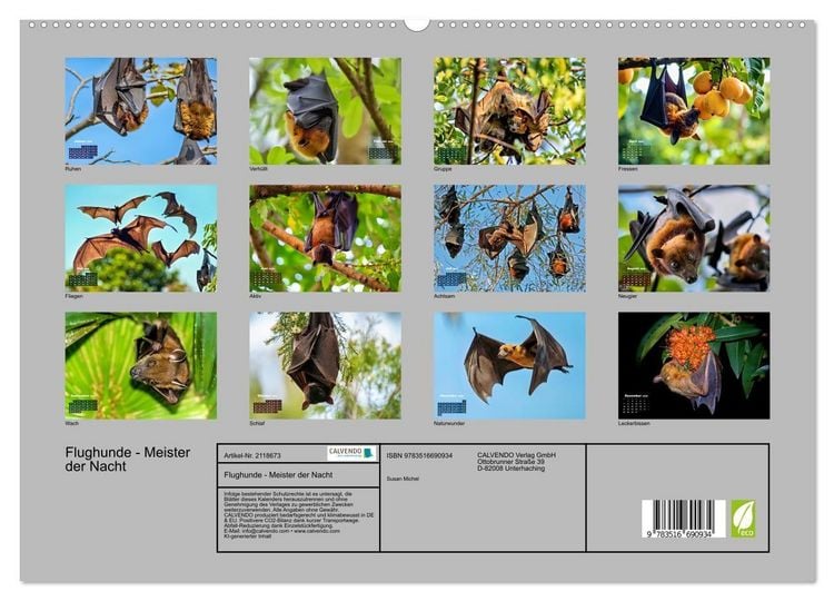 Produktbild: Flughunde - Meister der Nacht (hochwertiger Premium Wandkalender 2026 DIN A2 quer), Kunstdruck in Hochglanz