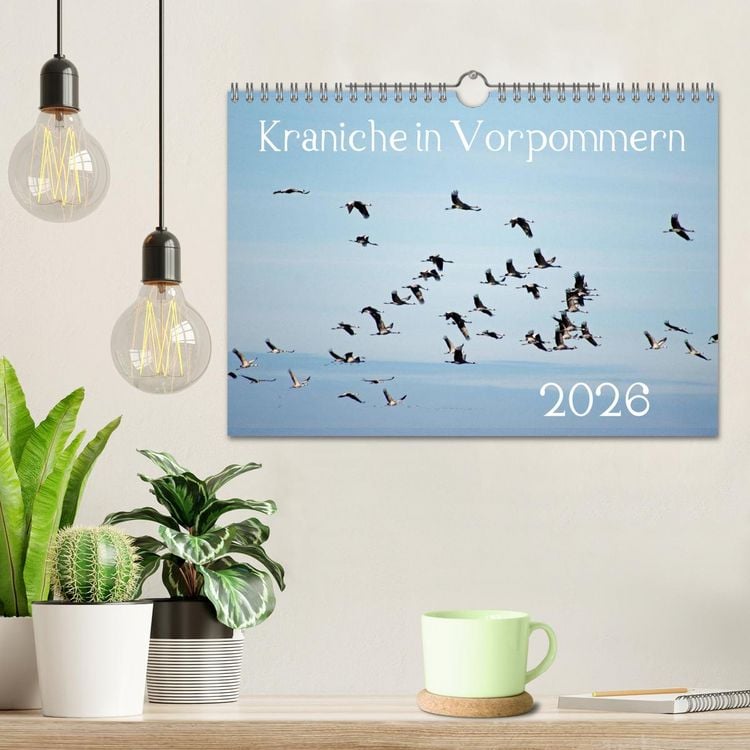 Produktbild: Kraniche in Vorpommern (Wandkalender 2026 DIN A4 quer), CALVENDO Monatskalender