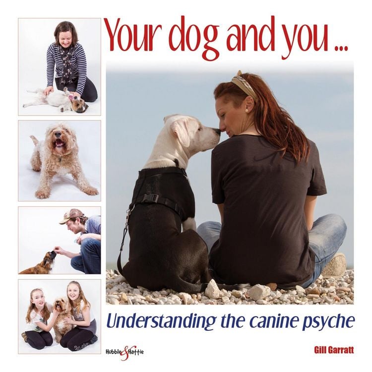 Produktbild: Your dog and you