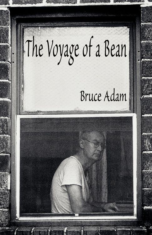 Produktbild: The Voyage of a Bean