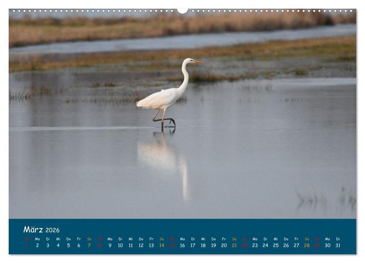 Produktbild: Naturschutzgebiet W&uuml;mme (Wandkalender 2026 DIN A2 quer), CALVENDO Monatskalender