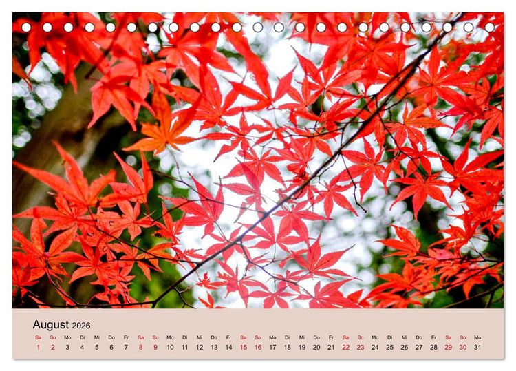 Produktbild: Japan im Herbst (Tischkalender 2026 DIN A5 quer), CALVENDO Monatskalender