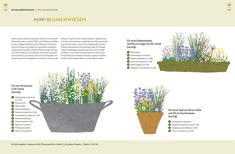 Produktbild: Wildblumen f&uuml;r Balkon und Terrasse