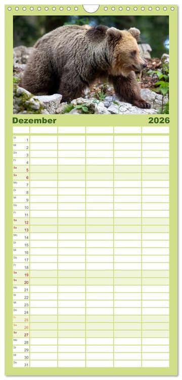 Produktbild: Familienplaner 2026 - Lautlos in den W&auml;ldern Sloweniens mit 5 Spalten (Wandkalender, 21 x 45 cm) CALVENDO