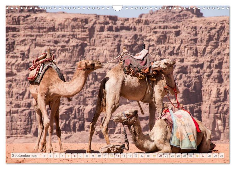 Produktbild: Jordanien - Wadis - W&uuml;ste - Weltwunder (Wandkalender 2026 DIN A3 quer), CALVENDO Monatskalender