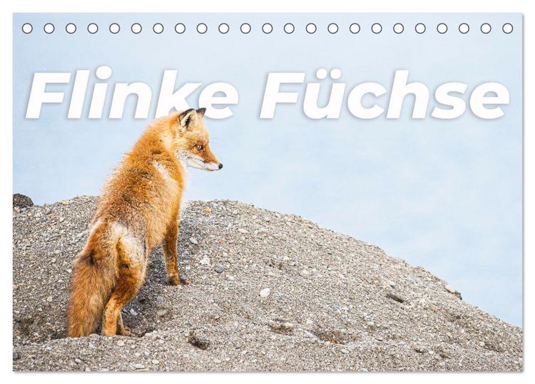 Produktbild: Flinke F&uuml;chse (Tischkalender 2026 DIN A5 quer), CALVENDO Monatskalender