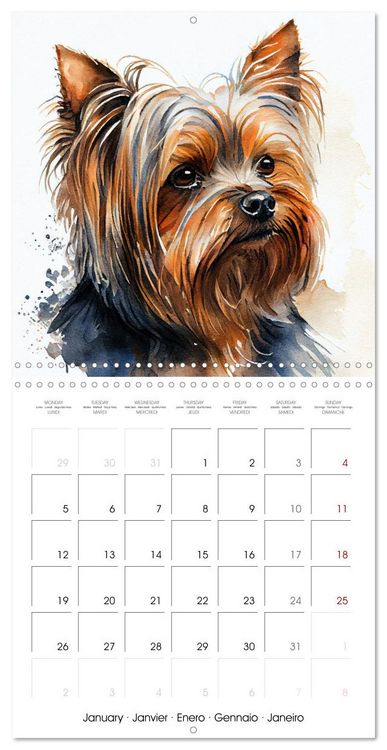 Produktbild: Artistic Dog Breeds (Wall Calendar 2026 12 &times; 12 Inch) CALVENDO 12 Month Wall Calendar